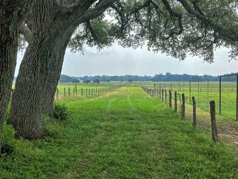 Neiser Lane