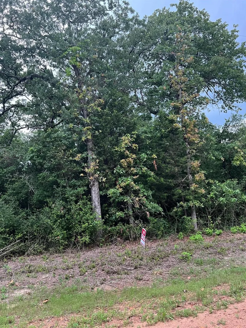 Navarro Drive Normangee, TX 77871