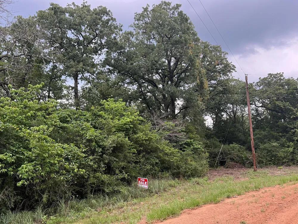 2 Navarro Drive Normangee, TX 77871