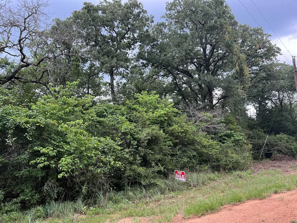 2 Navarro Drive Normangee, TX 77871