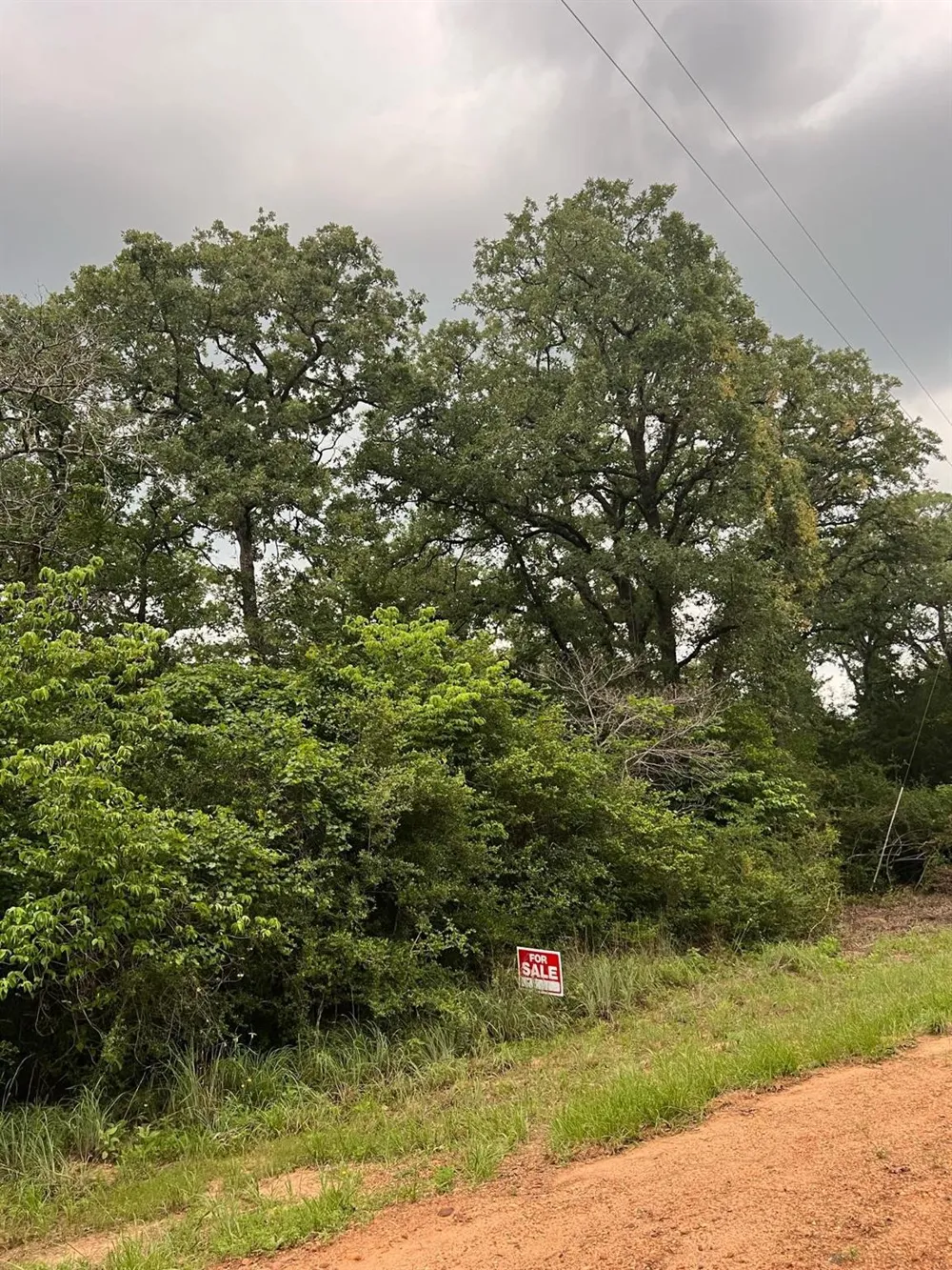2 Navarro Drive Normangee, TX 77871