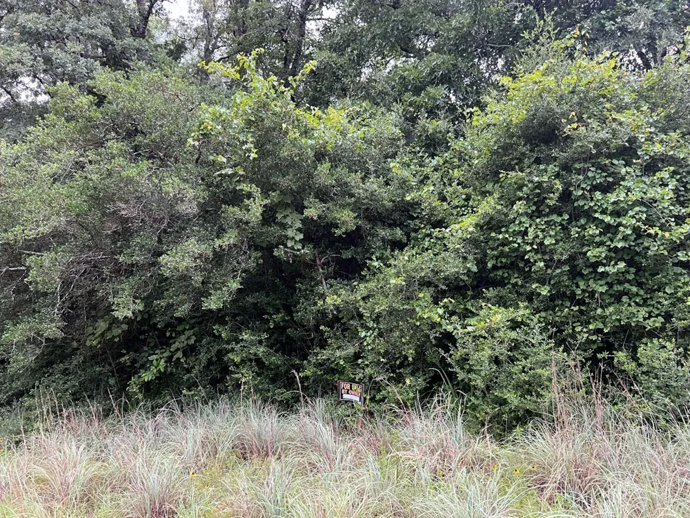 Rockwall Drive Hilltop Lakes, TX 77871