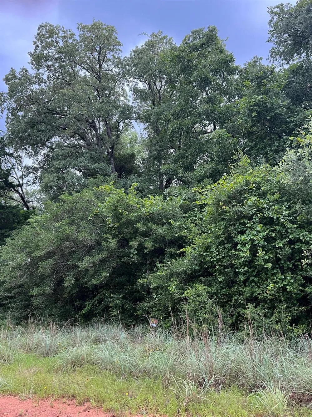 Rockwall Drive Hilltop Lakes, TX 77871