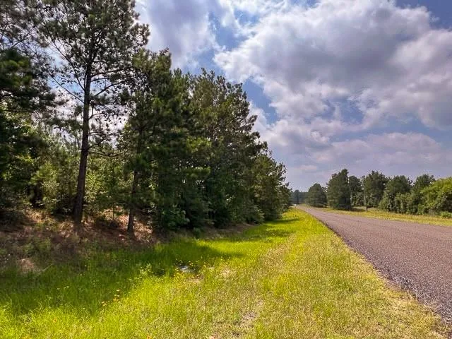 Fm 92 Colmesneil, TX 75938