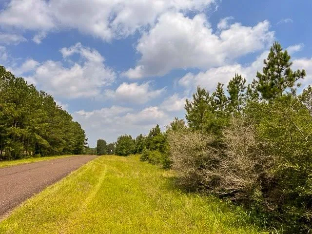 Fm 92 Colmesneil, TX 75938