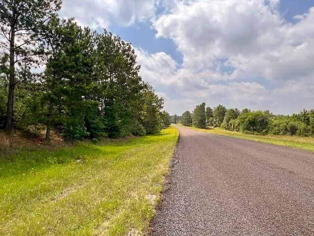 Fm 92 Colmesneil, TX 75938