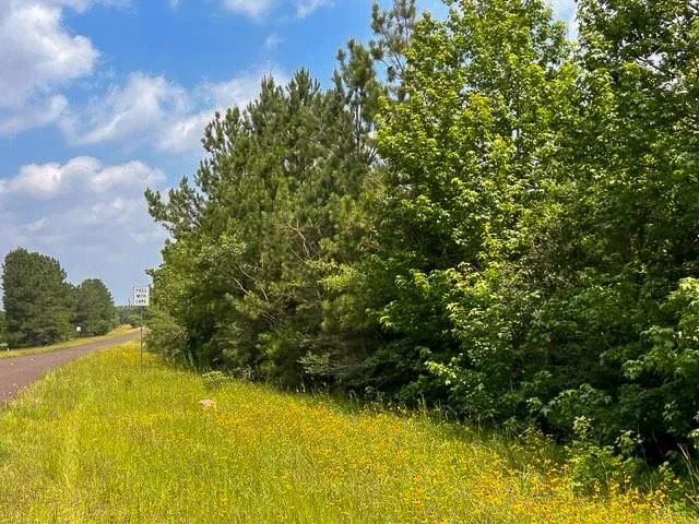 Fm 92 Colmesneil, TX 75938