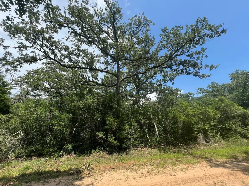 Mulberry Lane Normangee, TX 77871