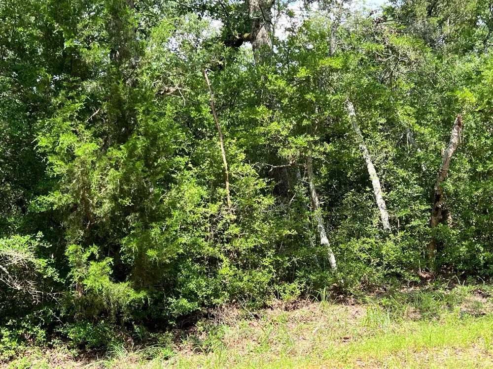 Mulberry Lane Normangee, TX 77871