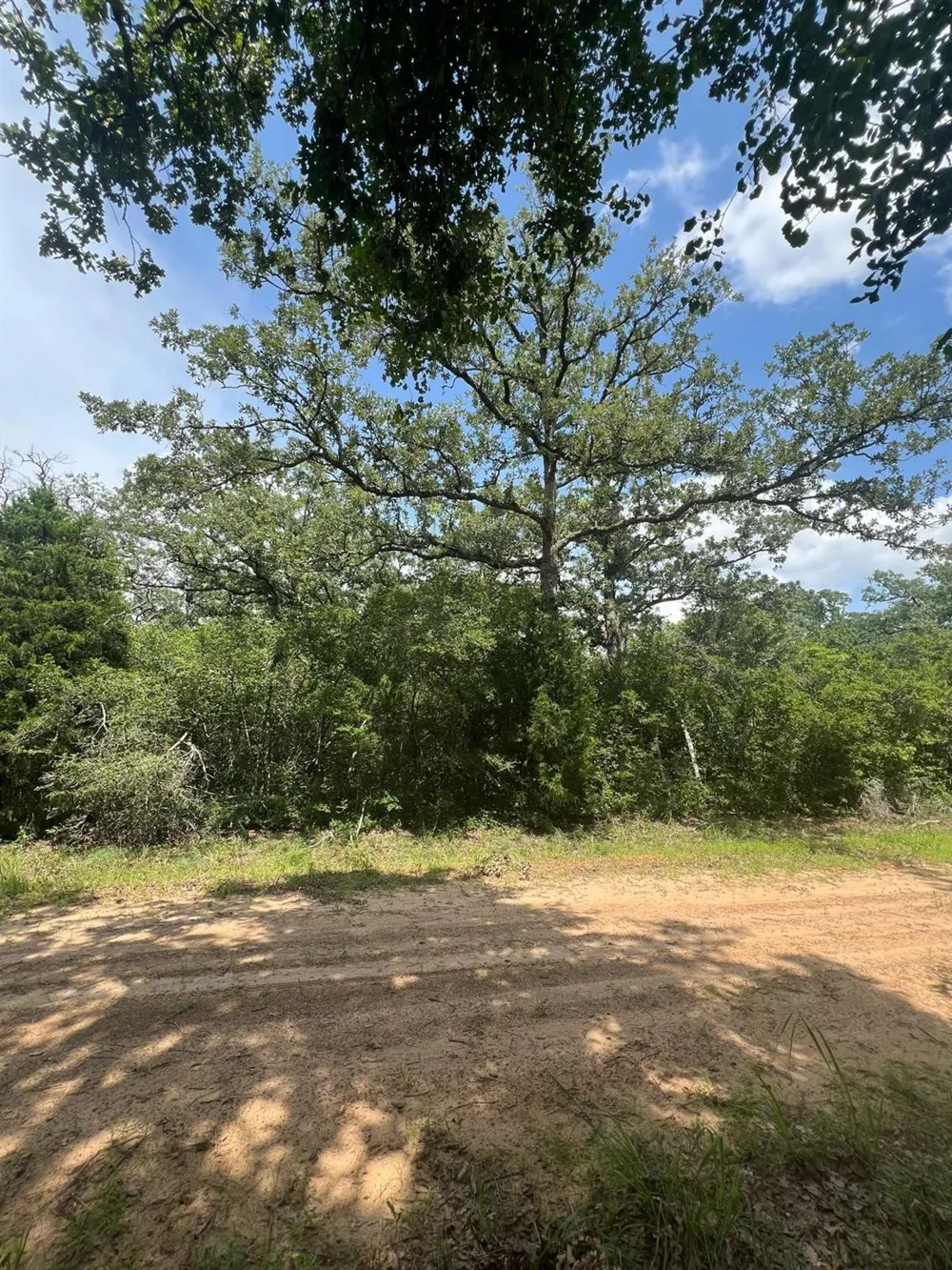 Mulberry Lane Normangee, TX 77871