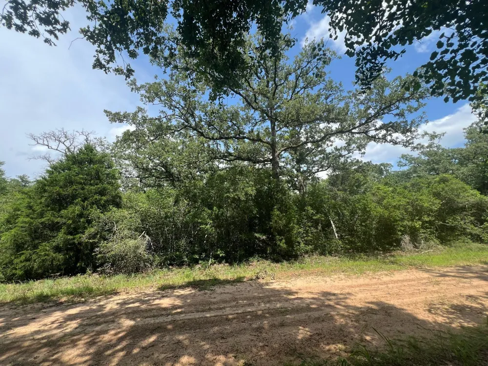 Mulberry Lane Normangee, TX 77871