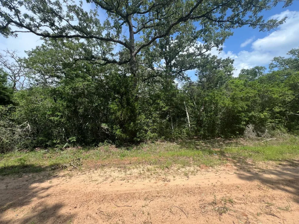Mulberry Lane Normangee, TX 77871