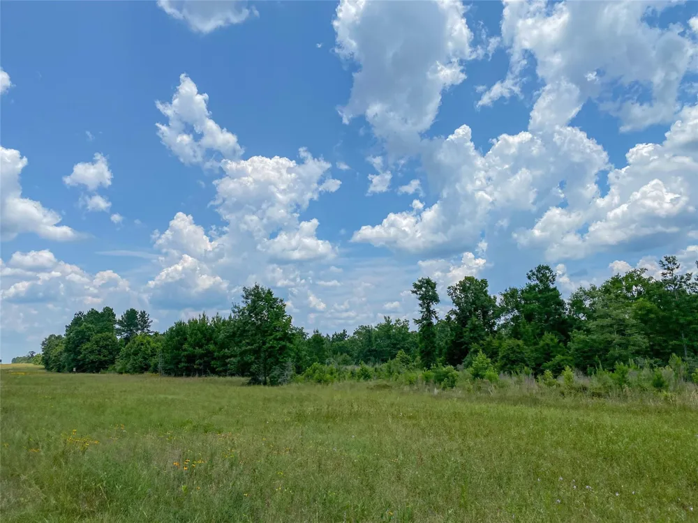 Us Hwy 59 Corrigan, TX 77351