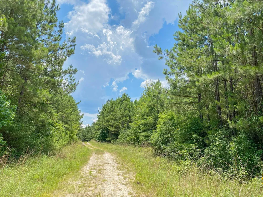 Us Hwy 59 Corrigan, TX 77351
