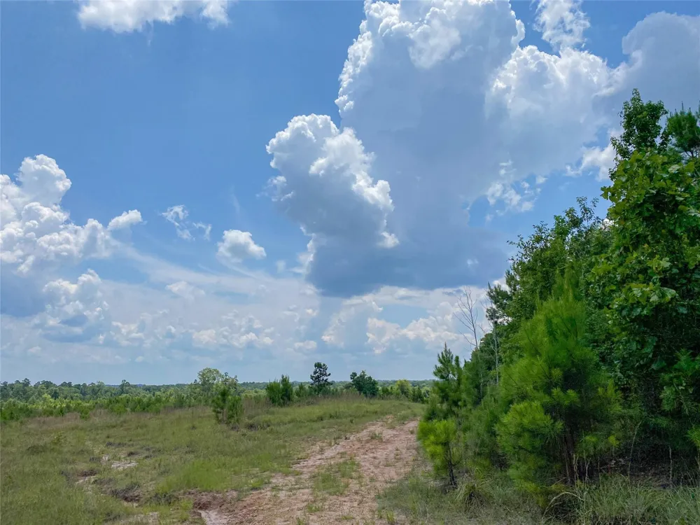 Us Hwy 59 Corrigan, TX 77351