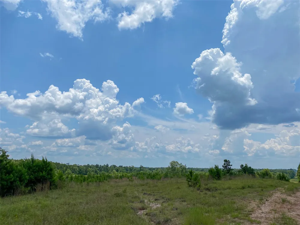 Us Hwy 59 Corrigan, TX 77351