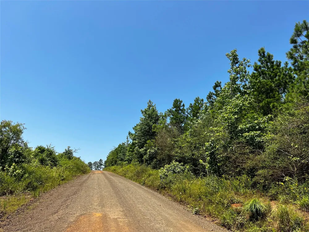 2 Carters Ferry Road Milam, TX 75959