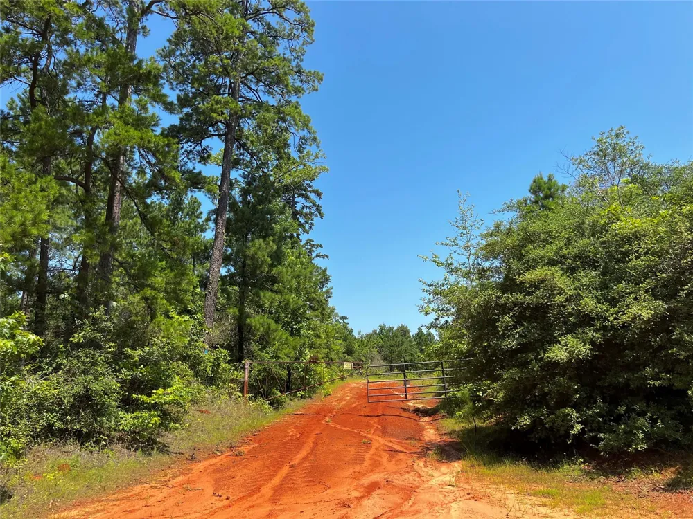2 Carters Ferry Road Milam, TX 75959