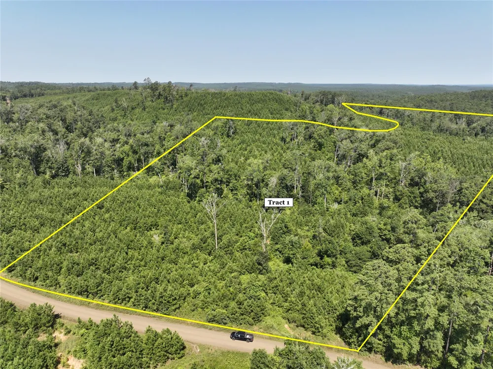 1 Carters Ferry Road Milam, TX 75959