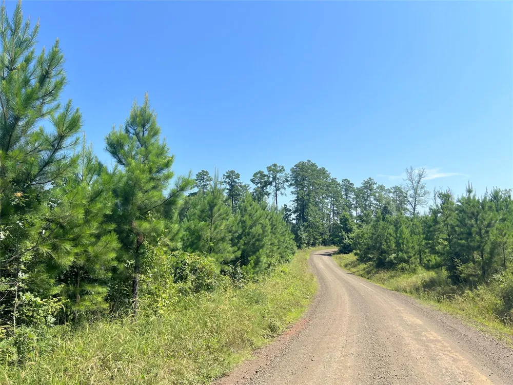 1 Carters Ferry Road Milam, TX 75959