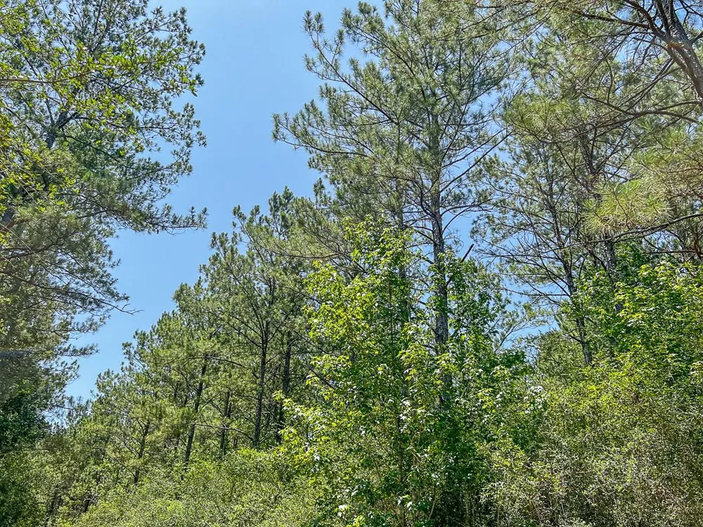 4 Cr 364e Zavalla, TX 75980