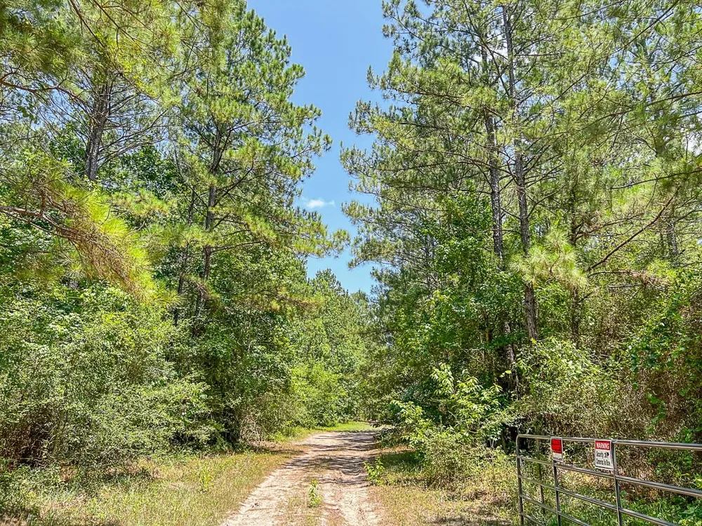 4 Cr 364e Zavalla, TX 75980