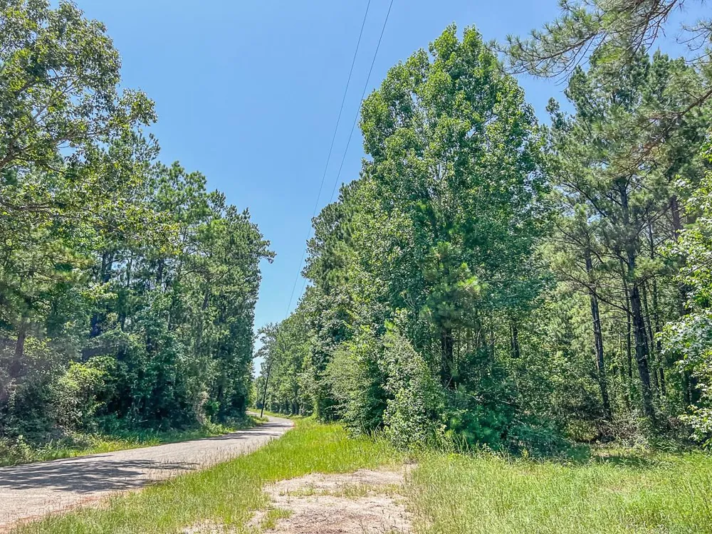 5 Cr 364e Zavalla, TX 75980