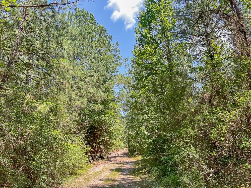 5 Cr 364e Zavalla, TX 75980