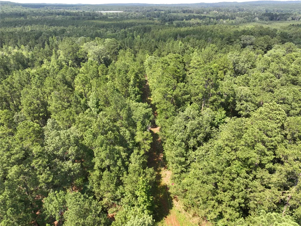 3 Off Highway 21 Geneva, TX 75959