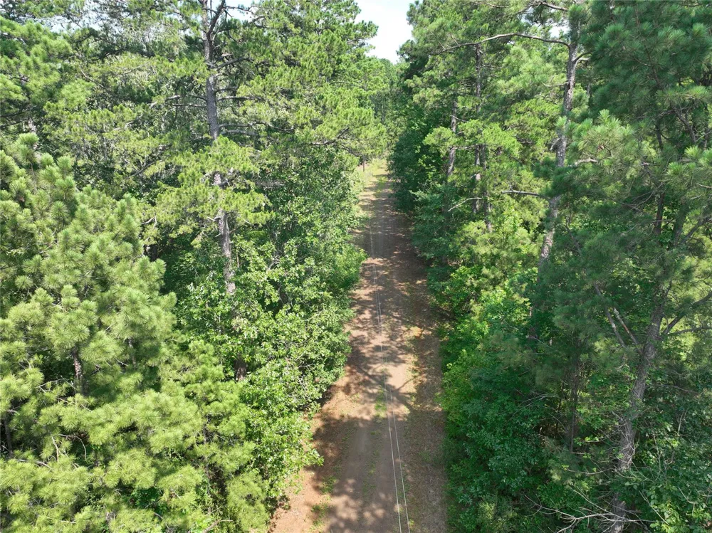 3 Off Highway 21 Geneva, TX 75959