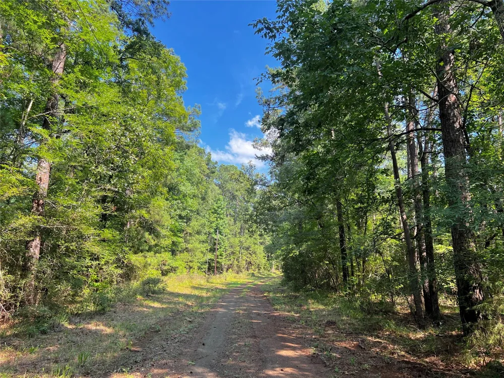 3 Off Highway 21 Geneva, TX 75959