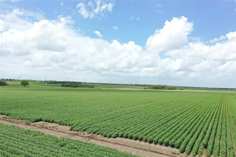 Fm 361-Fairchilds-Long Point Road Richmond, TX 77469