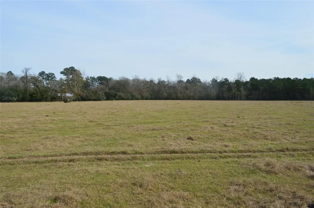 1 Wiggins Conroe, TX 77302