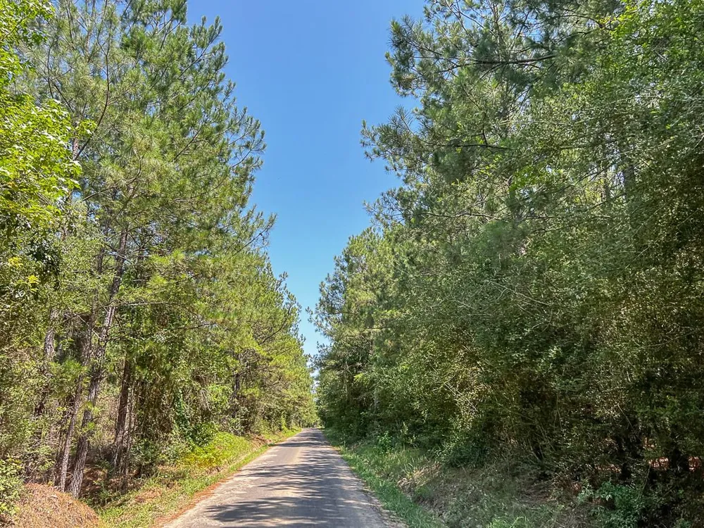 Cr 366/Cr 368 Zavalla, TX 75980