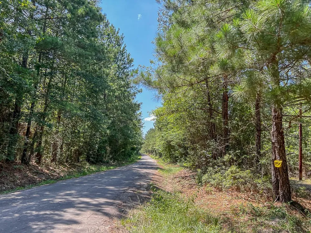 Cr 366/Cr 368 Zavalla, TX 75980