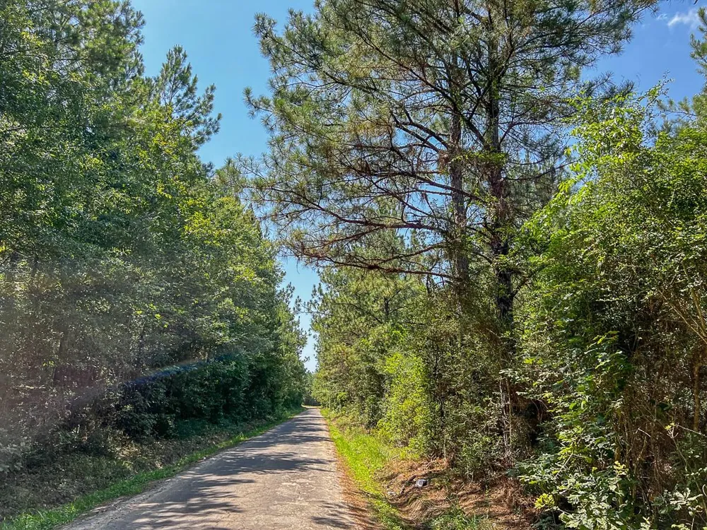 Cr 366/Cr 368 Zavalla, TX 75980