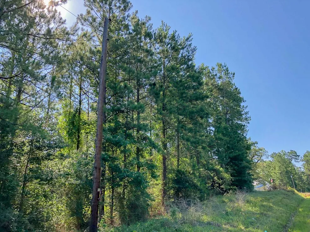 Cr 367/Cr 368 Zavalla, TX 75980