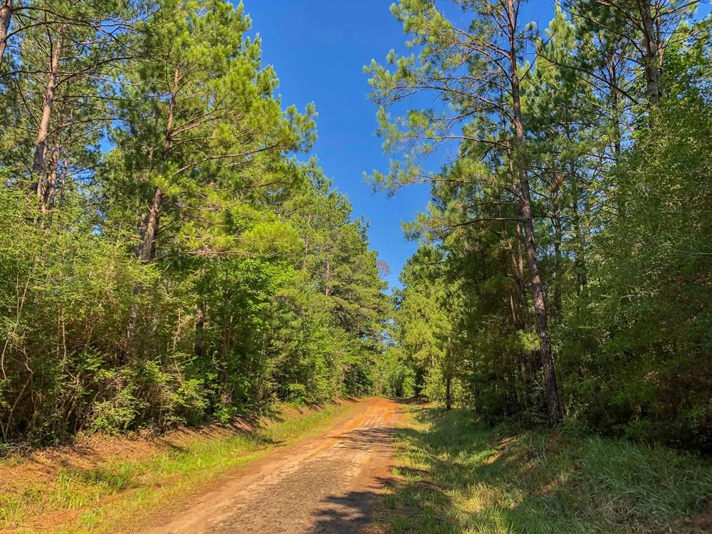Cr 367/Cr 368 Zavalla, TX 75980