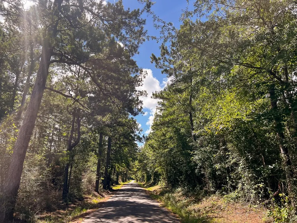 Cr 367/Cr 368 Zavalla, TX 75980
