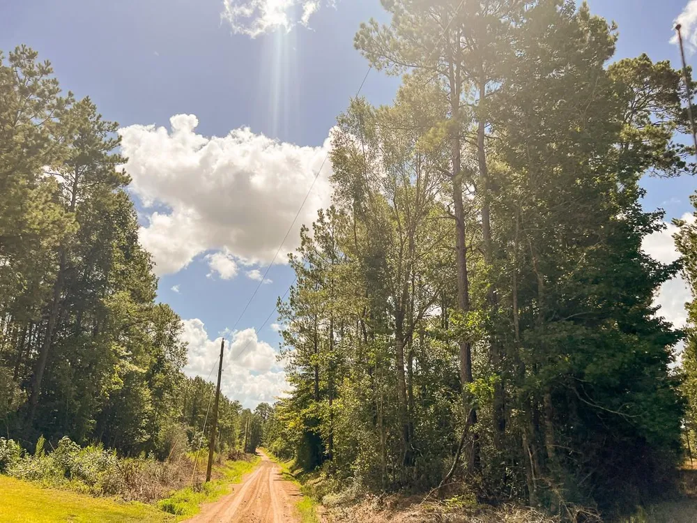Cr 367/Cr 368 Zavalla, TX 75980