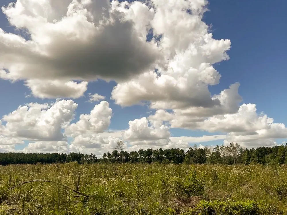 Cr 367 Zavalla, TX 75980