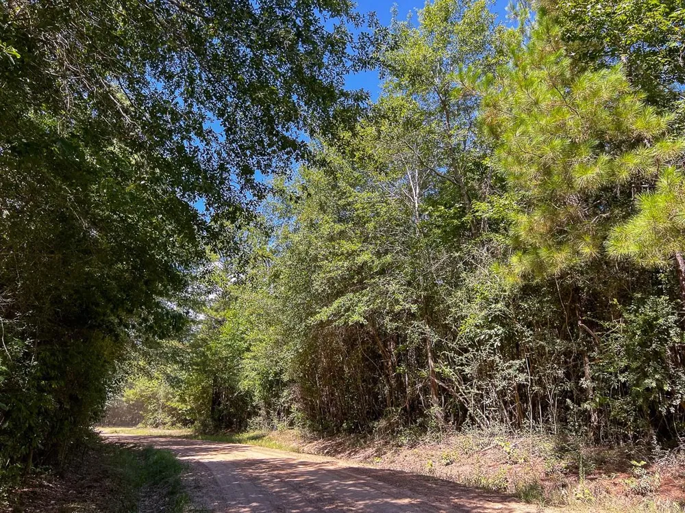 Cr 367 Zavalla, TX 75980