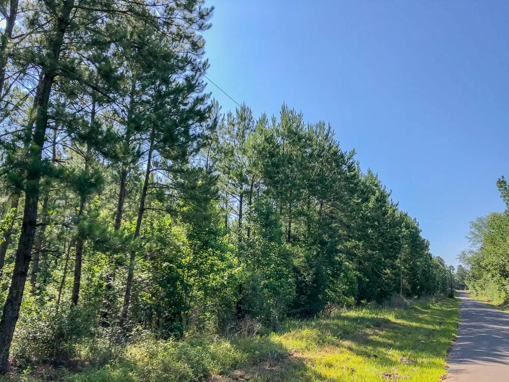 Cr 367 Zavalla, TX 75980