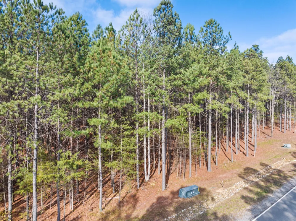 0 Crockett Point Jasper, TN 37347