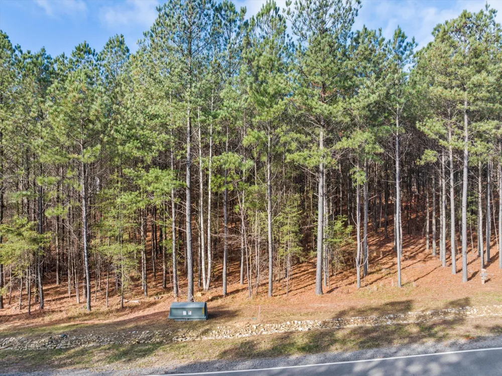 0 Crockett Point Jasper, TN 37347