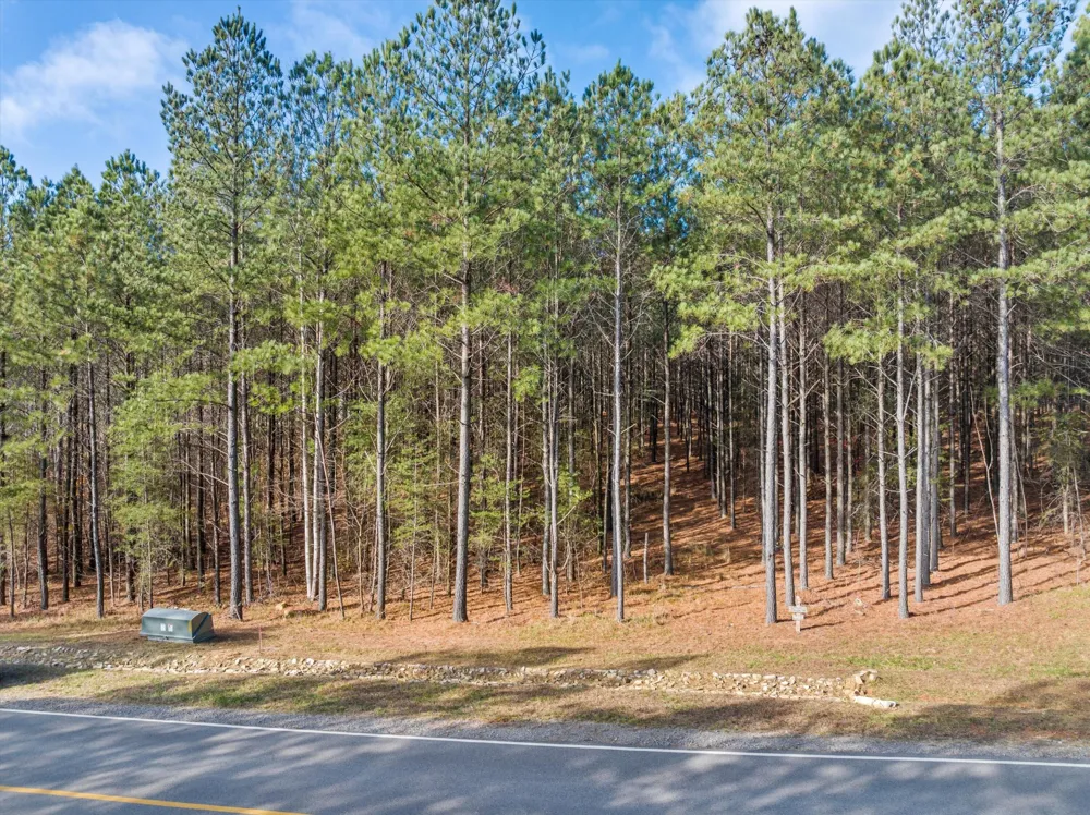 0 Crockett Point Jasper, TN 37347