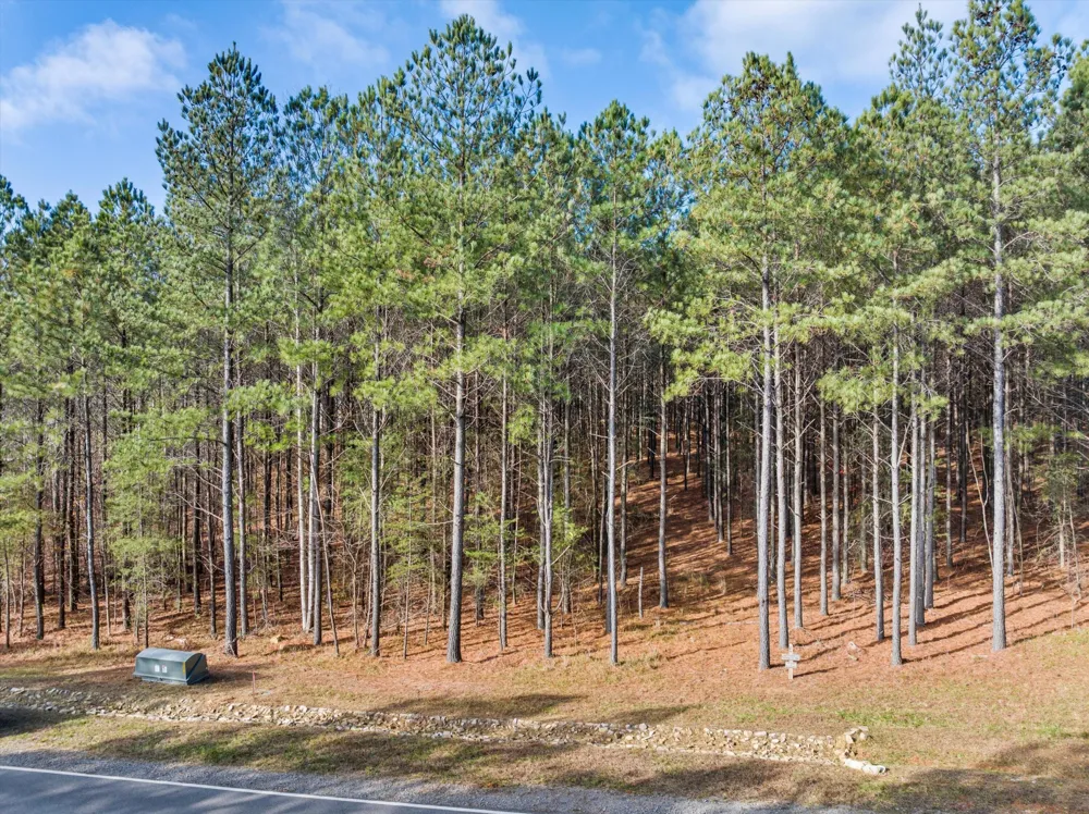 0 Crockett Point Jasper, TN 37347