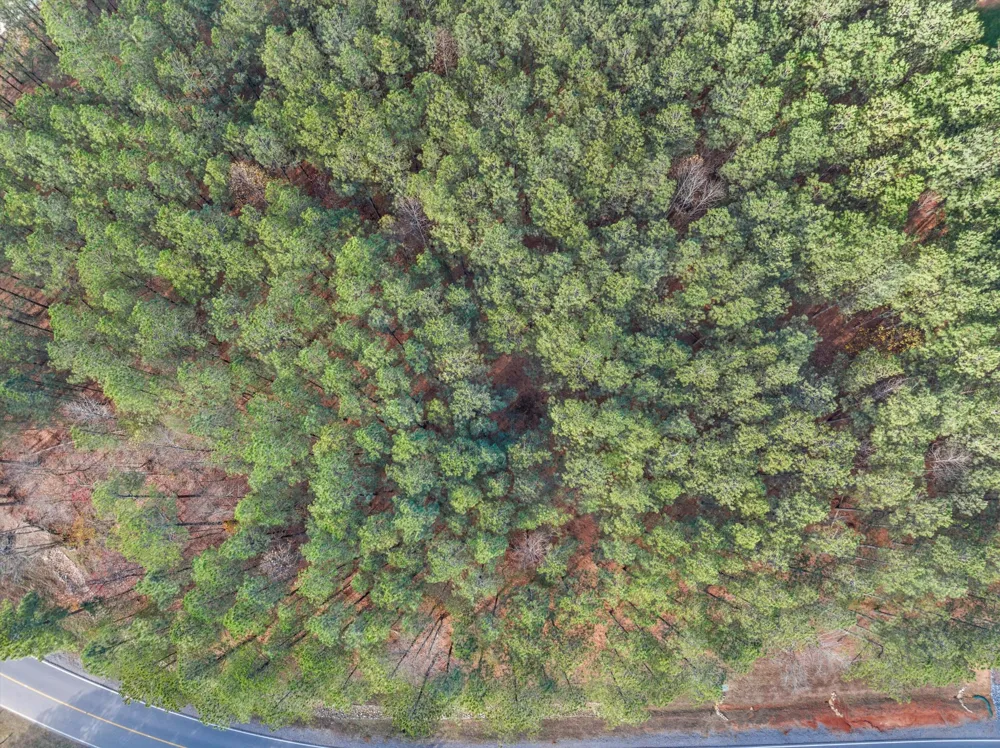0 Crockett Point Jasper, TN 37347