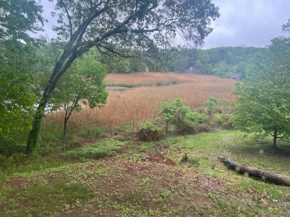 15 Old Field Road Setauket, NY 11733