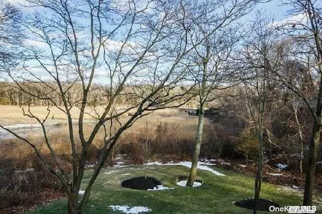15 Old Field Road Setauket, NY 11733